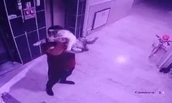 Konya'da Kediyi Yere Fırlatan Şüpheliye Gözaltı