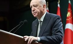 Orman Yangınlarında Son Durum: Erdoğan'dan Kritik Açıklamalar