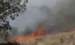 Gabar Dağı’nda Orman Yangını