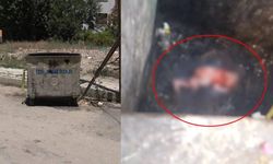 Vicdansız Anne, Evde Doğurduğu Bebeğini Çöpe Attı!