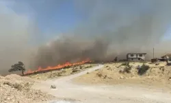 Çanakkale Ayvacık’ta Orman Yangını! İki Köy Tahliye Ediliyor