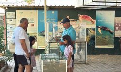 Türkiye'nin İlk ve Tek Caretta Caretta Müzesine Yoğun İlgi