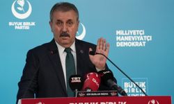 Destici, "Kasıtlı Olarak Ormanlarımızı Yakanlar İçin İdam Cezası Gündeme Gelmeli"
