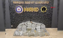 Esenyurt'ta 144 Kilo Skunk Ele Geçirildi, 5 Gözaltı Var