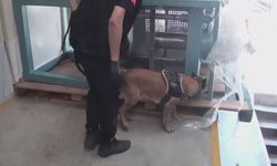 Çatalca'da 60 Kilo Kokain Ele Geçirildi