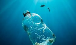Mikroplastik Tehlikesi Gözle Görülmüyor, Hayatı Tehdit Ediyor