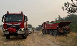Sakarya'daki Orman Yangını 3'üncü Gününde