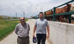 Yozgat'ta Silahlı Kavga: Muhtar ve Oğlu Öldü, Diğer Oğlu Yaralandı