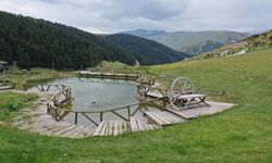 Yaylada Silahlı-Sopalı 'Arazi' Kavgası; 3 Ölü, 1 Yaralı