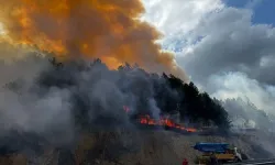 Bolu'nun Mengen İlçesinde Orman Yangını