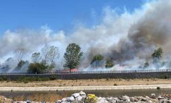 Çanakkale'de Ayvacık'ta da Orman Yangını Çıktı