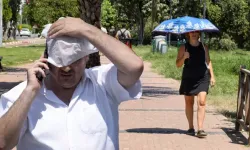 Türkiye'de Temmuz Ayında Sıcaklık Rekoru Kırıldı!