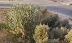 Antalya'da Drift Yapan 3 Sürücüye 166 Bin TL Ceza