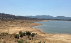 Bodrum'da Su Alarmı! Barajların Su Seviyesi Yüzde 22'ye Geriledi