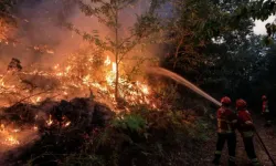 Orman Yangınlarıyla Mücadele Eden Portekiz'de 1 Kişi Hayatını Kaybetti