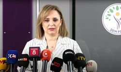 DEM Parti'li Doğan: Süreç yasal Zemine Oturtulmalıdır