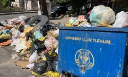 İzmir'de Çöplerden Bıkan Vatandaş: Koku 5. Kata Kadar Çıkıyor