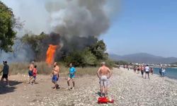 Muğla'nın Fethiye İlçesinde Orman Yangını Çıktı