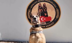 Narkotik Köpeği ‘Pars’ Emekliye Ayrıldı