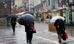 Sakarya'da Sağanak Etkili Oldu