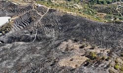 Antalya'daki Orman Yangınlarında 1350 Hektar Alan Zarar Gördü