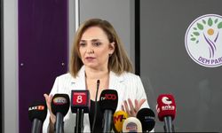 DEM Parti’li Doğan: Niye Bu Komisyonun Hala Bir Yol Haritası Yok