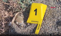 İznik Gölü Sahilinde Bulunan El Bombası İmha Edildi