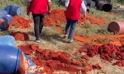 Hatay'da Salça Denetimi; 6 Ton Domates Posası İmha Edildi