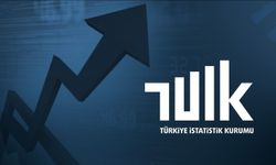 TÜİK: Gayrisafi Milli Hasıla, 44 Trilyon Liraya Yükseldi