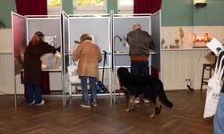 Hollanda'da sandık çıkış anketlerinin sonuçları açıklandı