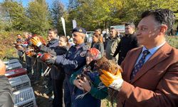 Bartın'da Kahverengi Kokarca İle Mücadele İçin Doğaya 250 Sülün Salındı