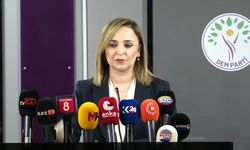 DEM Parti'li Doğan: Öcalan'ın Dinlenmesi İçin Formül Üretilmeli