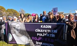 DEM Parti’li Hatimoğulları: Rojin’in başına gelenlerin ortaya çıkarılması için sonuna kadar takipçisi olacağız