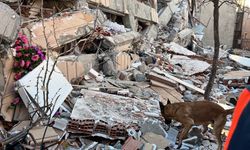 Gebze'de bina çöktü; kurtarma çalışması başlatıldı