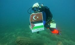 Su Altında İşaret Diliyle Gazze Eylemi