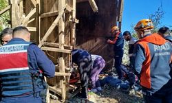 Arı kovanlarının bulunduğu ahşap yapı devrildi; 2 ölü, 1 yaralı