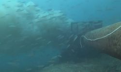 Çanakkale Boğazı'nda denize dökülen pis su, dalgıç kamerasında