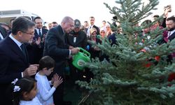 Cumhurbaşkanı Erdoğan: Son 23 yılda orman varlığımızı 23,4 milyon hektara çıkardık
