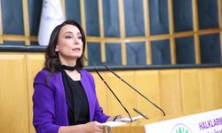 DEM Parti'li Hatimoğulları: Türkiye'nin ve bölgenin barışa ihtiyacı var