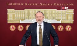 DEM Parti'li Temelli: Komisyon umarım İmralı'ya gider