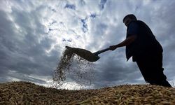 Bakanlıktan üreticilere 22 milyar 946 milyon lira zirai don desteği