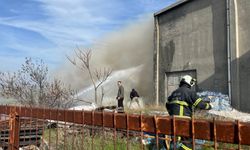 Edirne'de mobilya mağazasının deposunda yangın
