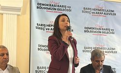 Hatimoğulları: CHP'nin İmralı'ya gitmesini çok önemsiyoruz