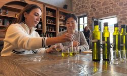 Japon şefin, Türk zeytinyağı çeşitlerinden özel karışımı