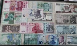 Manisalı fotoğrafçı 50 ülkenin paralarıyla koleksiyon oluşturdu