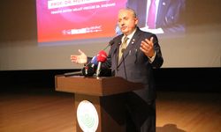 Şentop: Üniversiteyi bitirmiş olma aşamanın önemsenmesi evlenme yaşını yukarı taşıyor