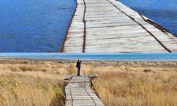 Van Gölü'ndeki çekilme fotoğraflarda