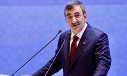 Cevdet Yılmaz: Ocakta enflasyonda 20'li rakamları göreceğiz