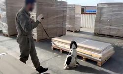 Gümrüklerde rekor; 33 ton 198 kilo uyuşturucu ele geçirildi