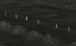 Iğdır’da 11 kaçak göçmen ve 3 organizatör yakalandı